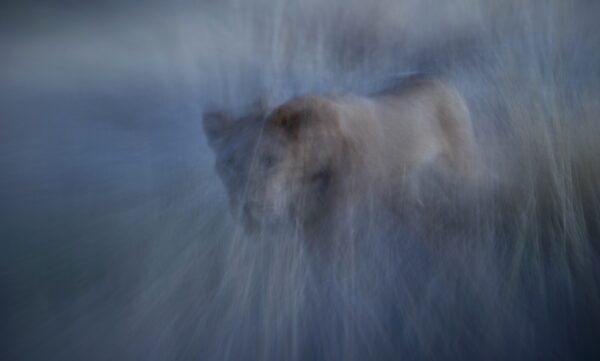 motion blur photography - Painterly Portrayal