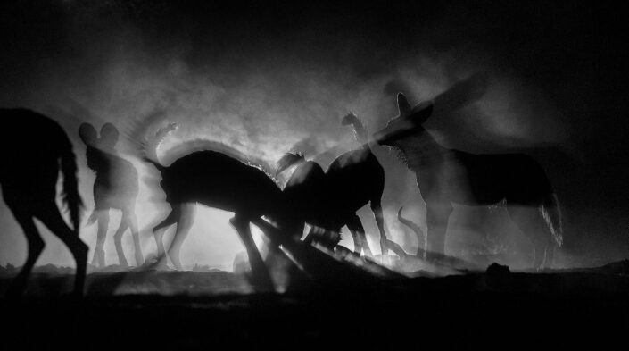 famous nature photographers - an example of a photo by a famous nature photographer