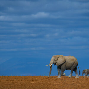 greg du toit photography