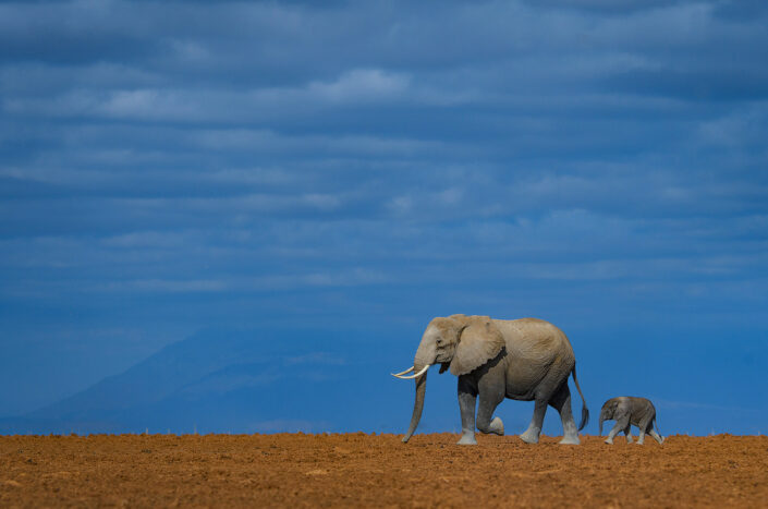 greg du toit photography