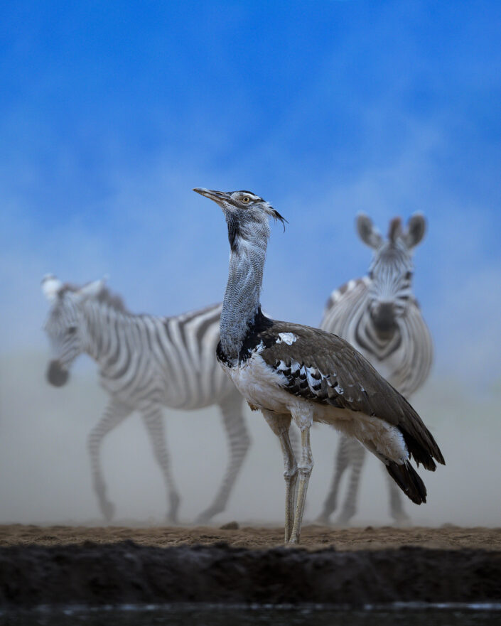 greg du toit photo