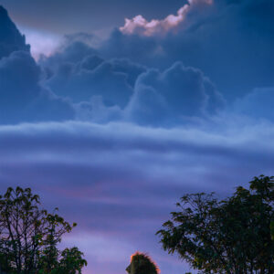 greg du toit wildlife photographer - photo of a lion and clouds