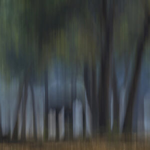 Motion blur wildlife photographic prints by Greg du Toit - Elephant