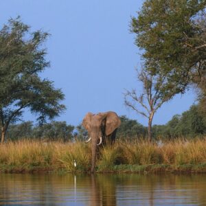 African panoramic wildlife fine art prints - Greg du Toit