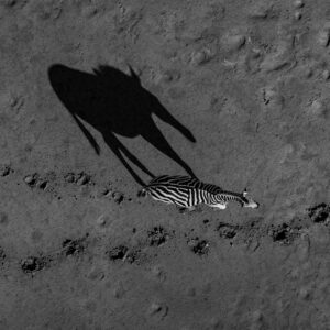 greg du toit photography