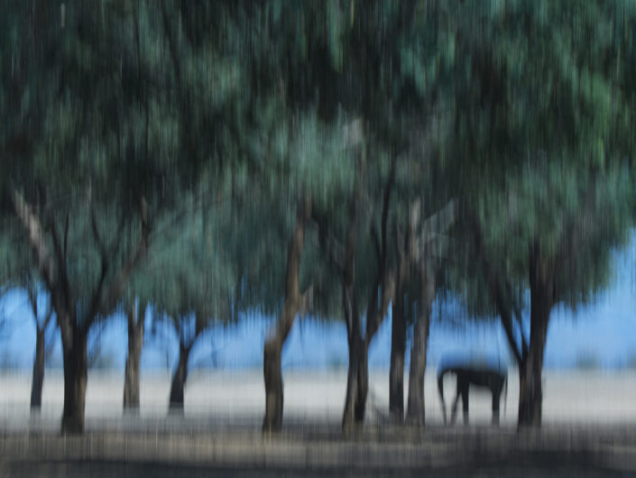 greg du toit photography