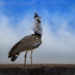 greg du toit photography