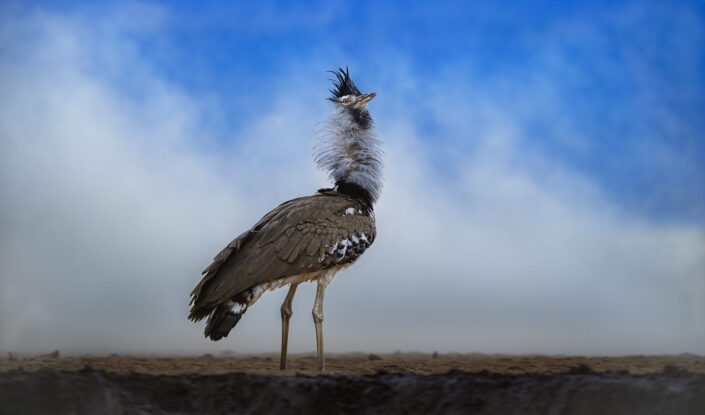 greg du toit photography